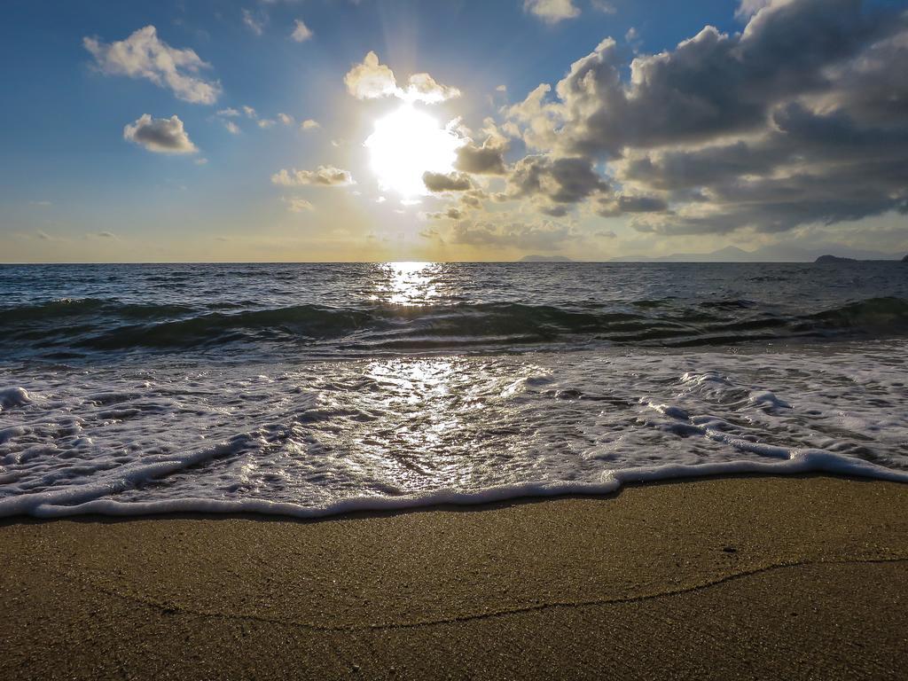 Cairns Beaches Flashpackers ปาล์มโคฟ ภายนอก รูปภาพ